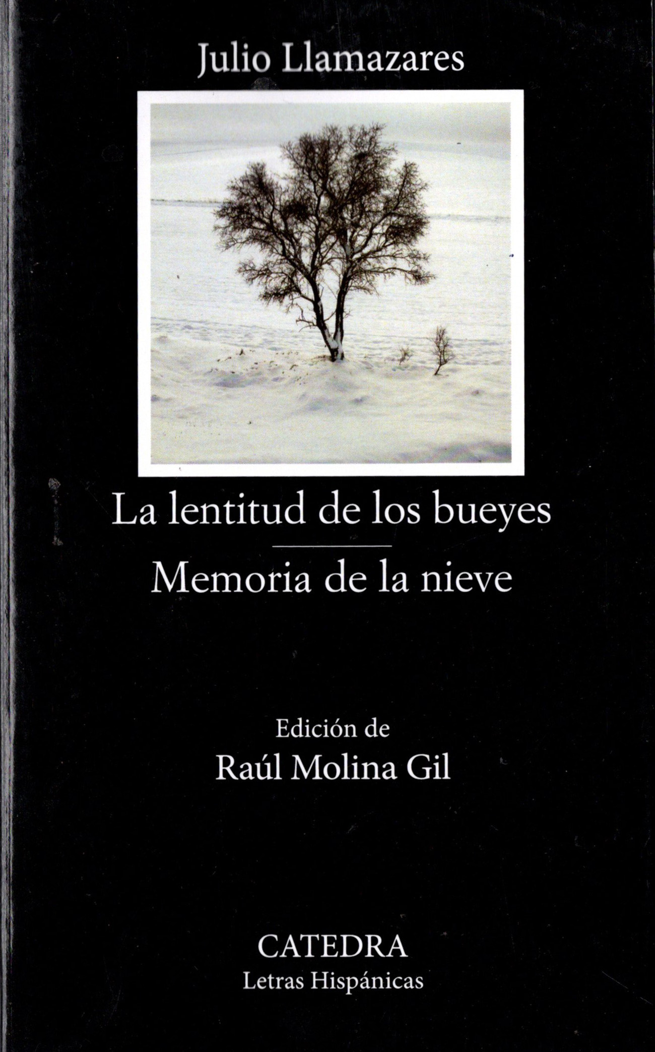 La lentitud de los bueyes; Memoria de la nieve (Paperback)
