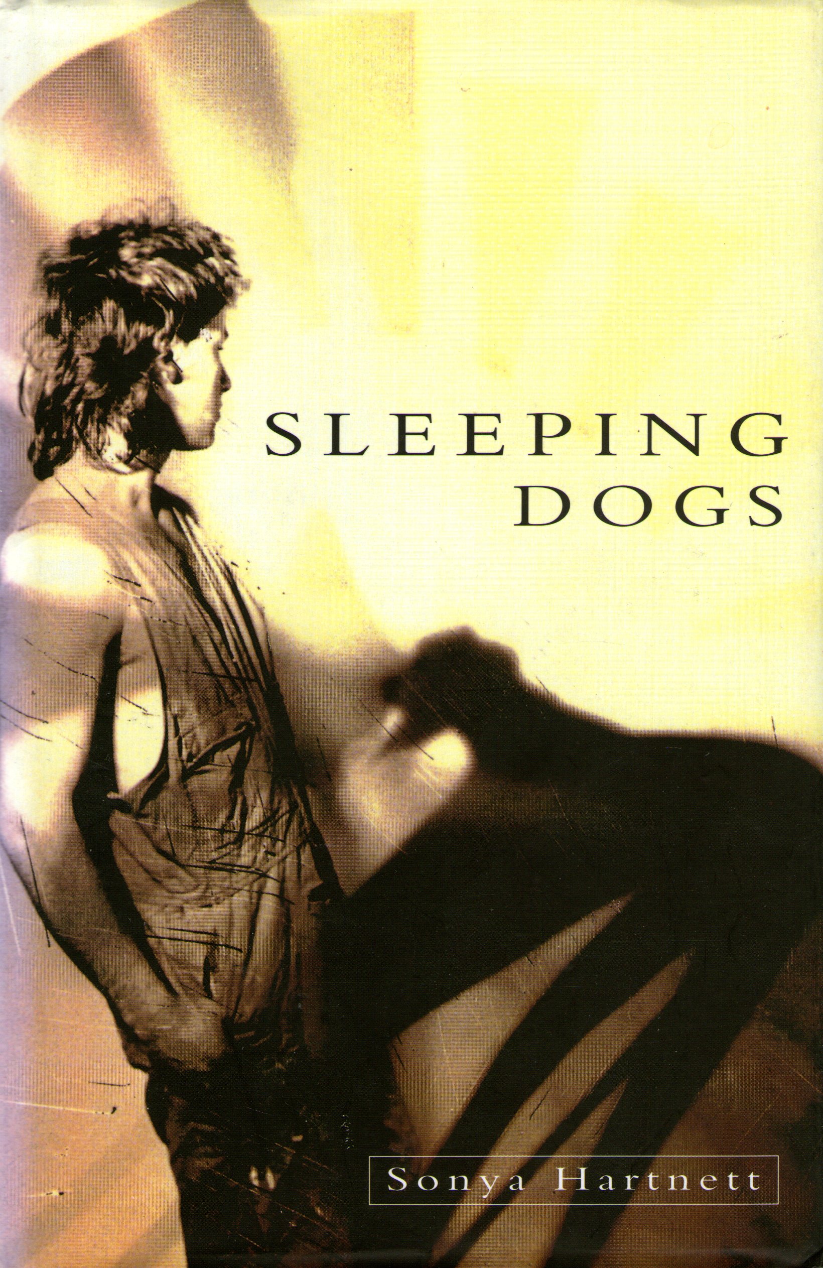 Sleeping Dogs