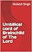 Umbilical cord of Brainchil...
