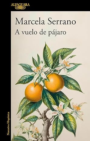 A vuelo de pájaro (Kindle Edition)
