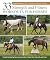 33 Strength and Fitness Workouts for Horses