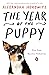 The Year of the Puppy: How Dogs Become Themselves