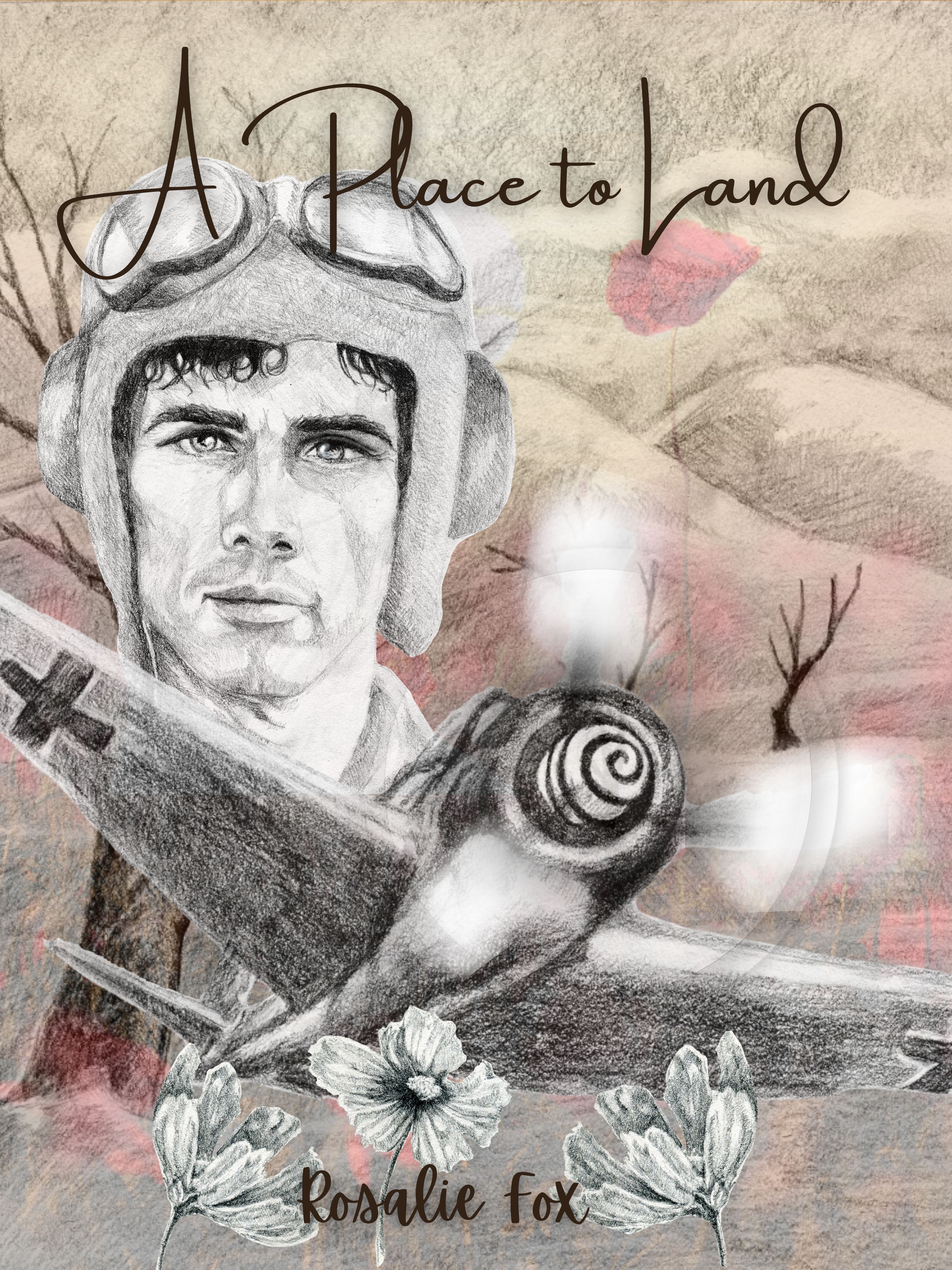 A Place to Land (Birds of War Book 2)