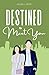Destined To Meet You by Alaa Lafir