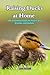 Raising Ducks at Home: The ...