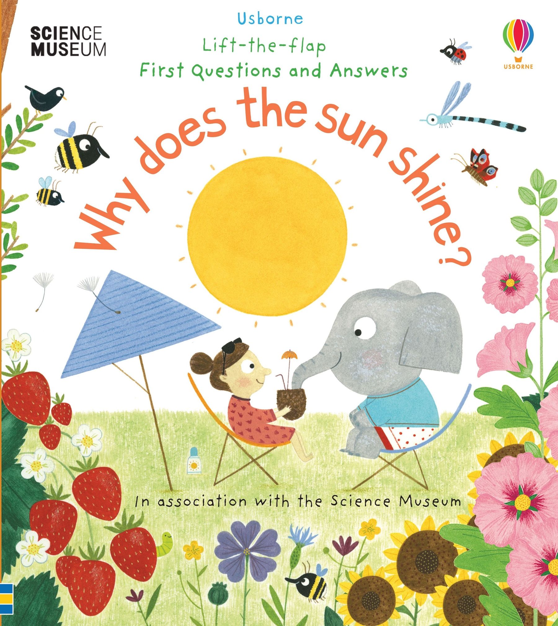 First Questions and Answers: Why does the sun shine? (Usborne Lift-the-Flap)