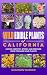 Wild Edible Plants of Calif...