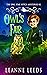 Owl's Fair (Owl Star Witch ...
