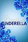 Breeding Cinderella (Knocking up the Princess, #1)