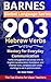 903 Hebrew Verbs by Omer Fisher
