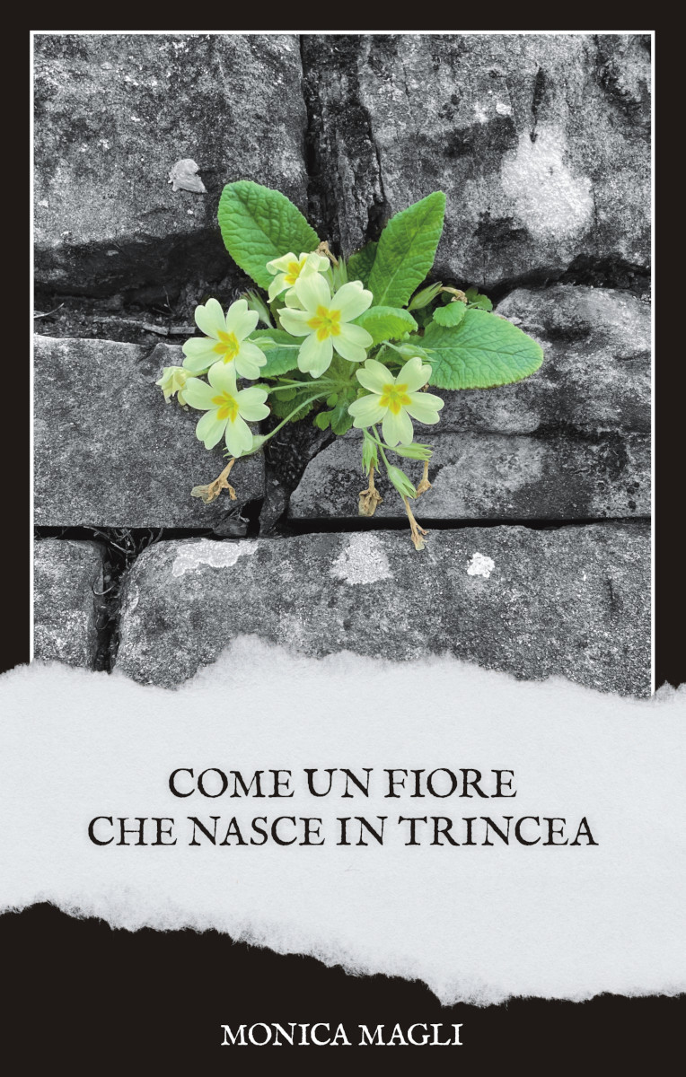 Come un fiore che nasce in trincea (Paperback)