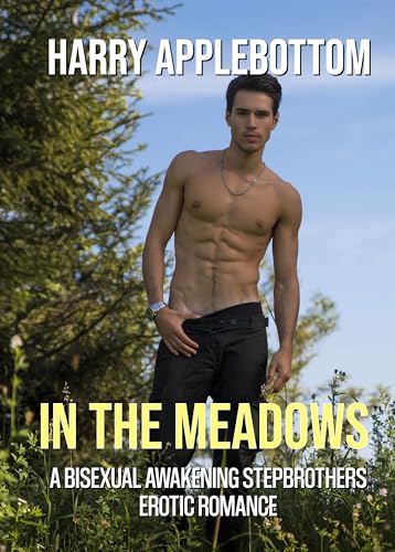 In the Meadows (Kindle Edition)