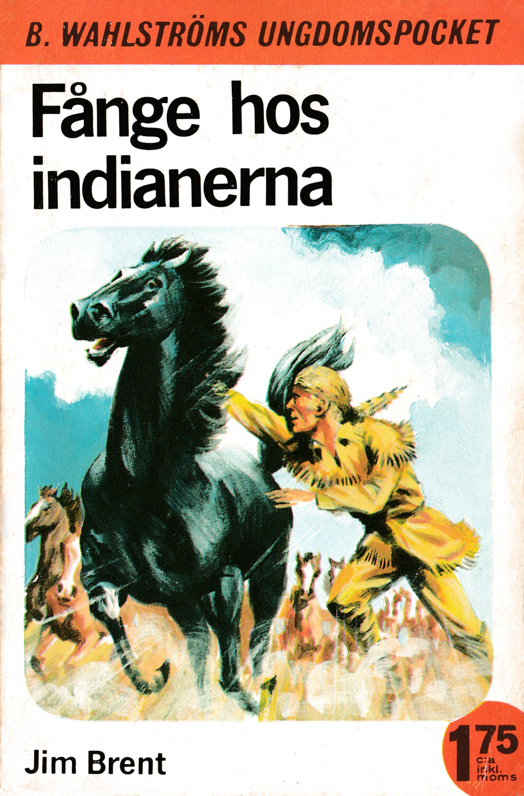 Fånge hos indianerna (Paperback)