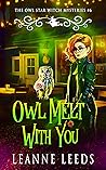Owl Melt with You