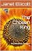 The Chosen King by Janet Ellicott