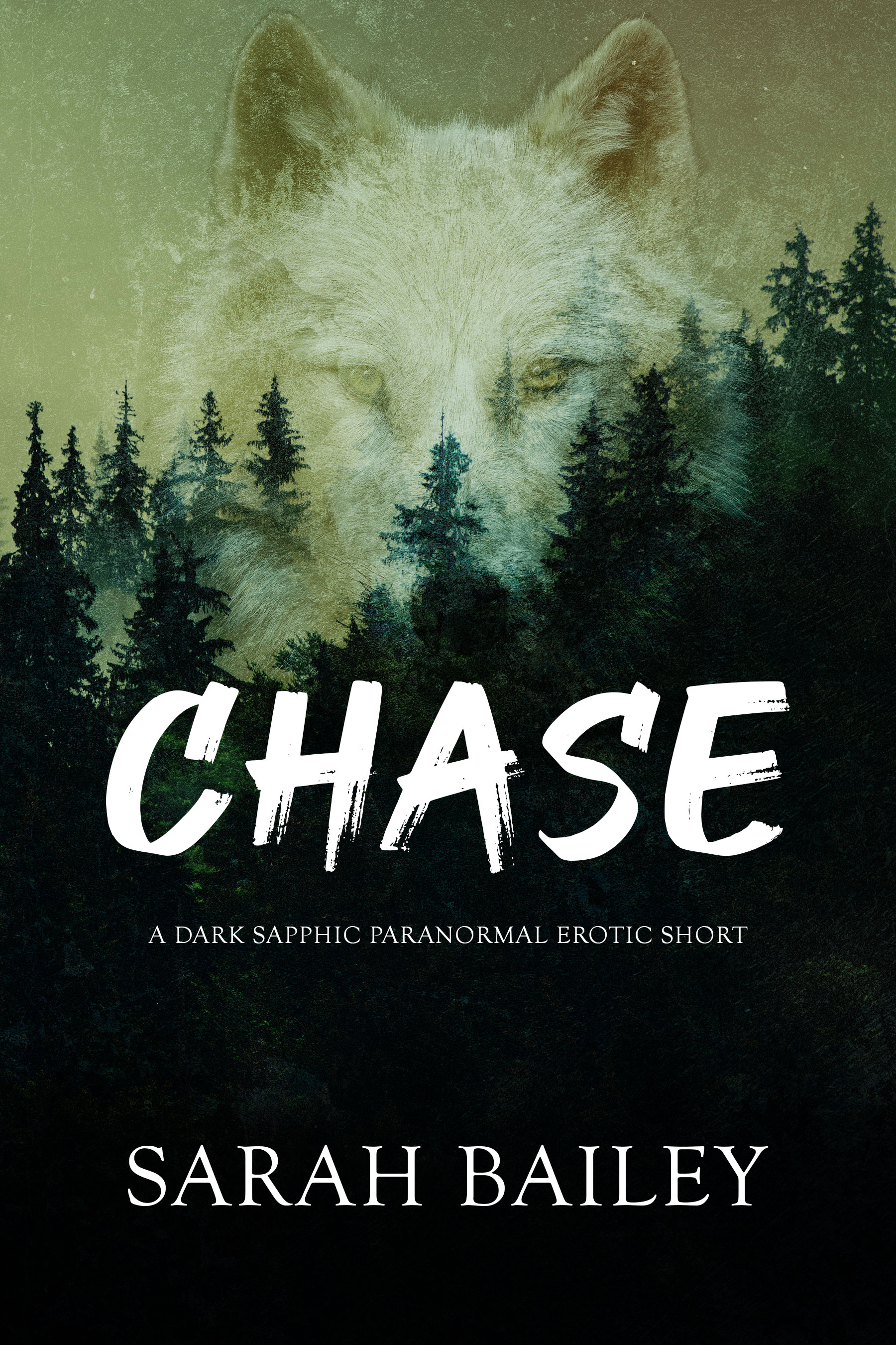 Chase (Kindle Edition)