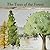 The Trees of the Forest