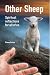 Other Sheep: Spiritual refl...