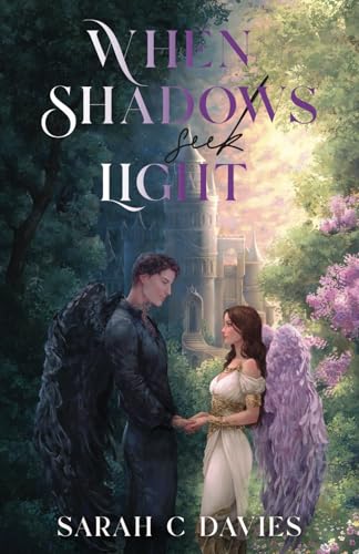 When Shadows Seek Light (Paperback)
