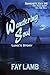 Wandering Soul - Luke's Sto...