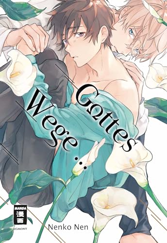 Gottes Wege ... (Paperback)