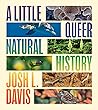 A Little Queer Na...
