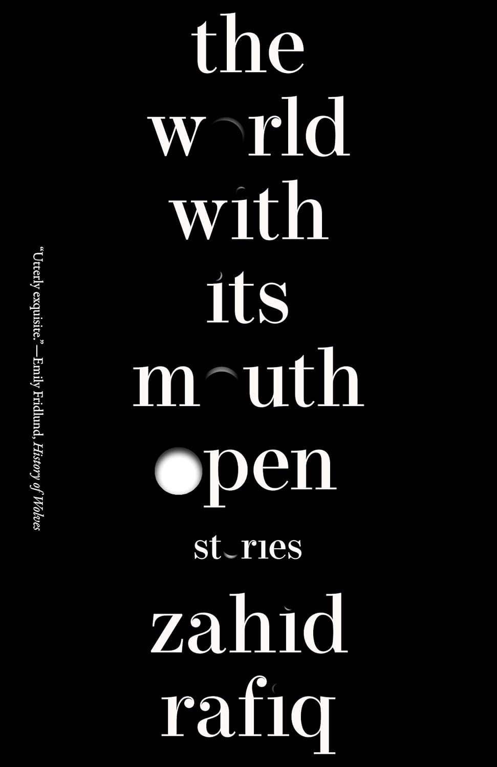 The World With Its Mouth Open: Stories (Paperback)