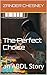 The Perfect Choice: an ABDL Story