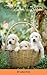 Golden Retrievers by Lisa Fox