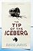 The Tip of the Iceberg by David Jarvis