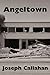 Angeltown