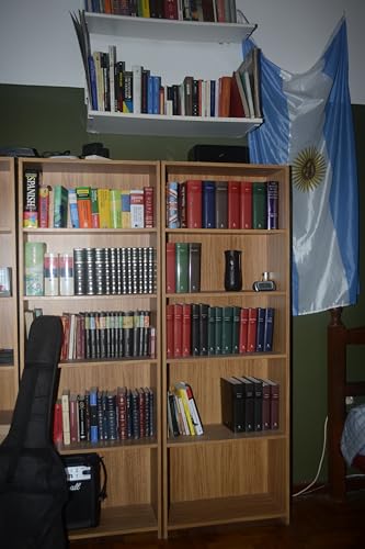 Cuentos de fantasías persecutorias (Spanish Edition)