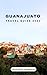 GUANAJUATO TRAVEL GUIDE 202...