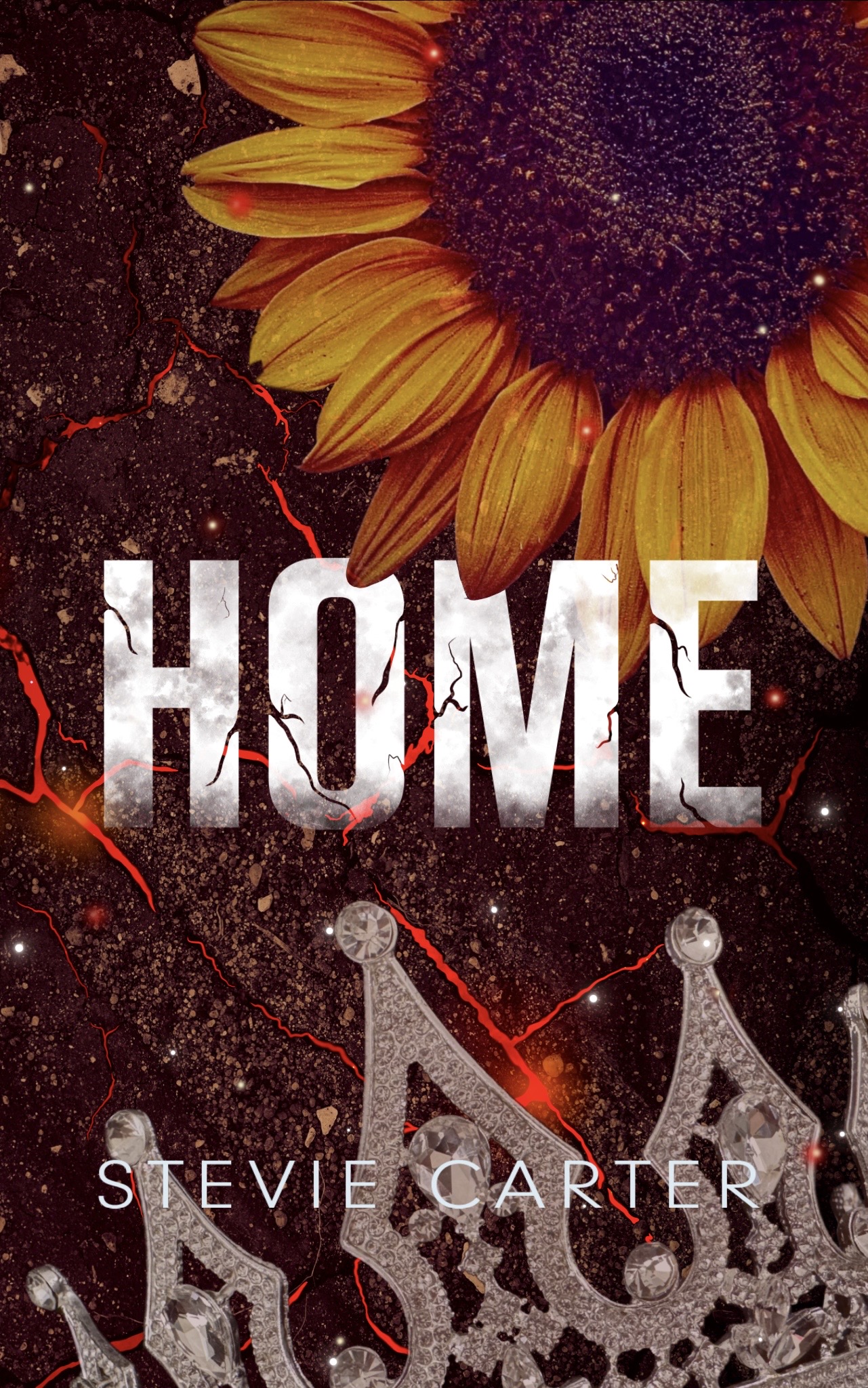 Home (Stitch Up Series Book Two)