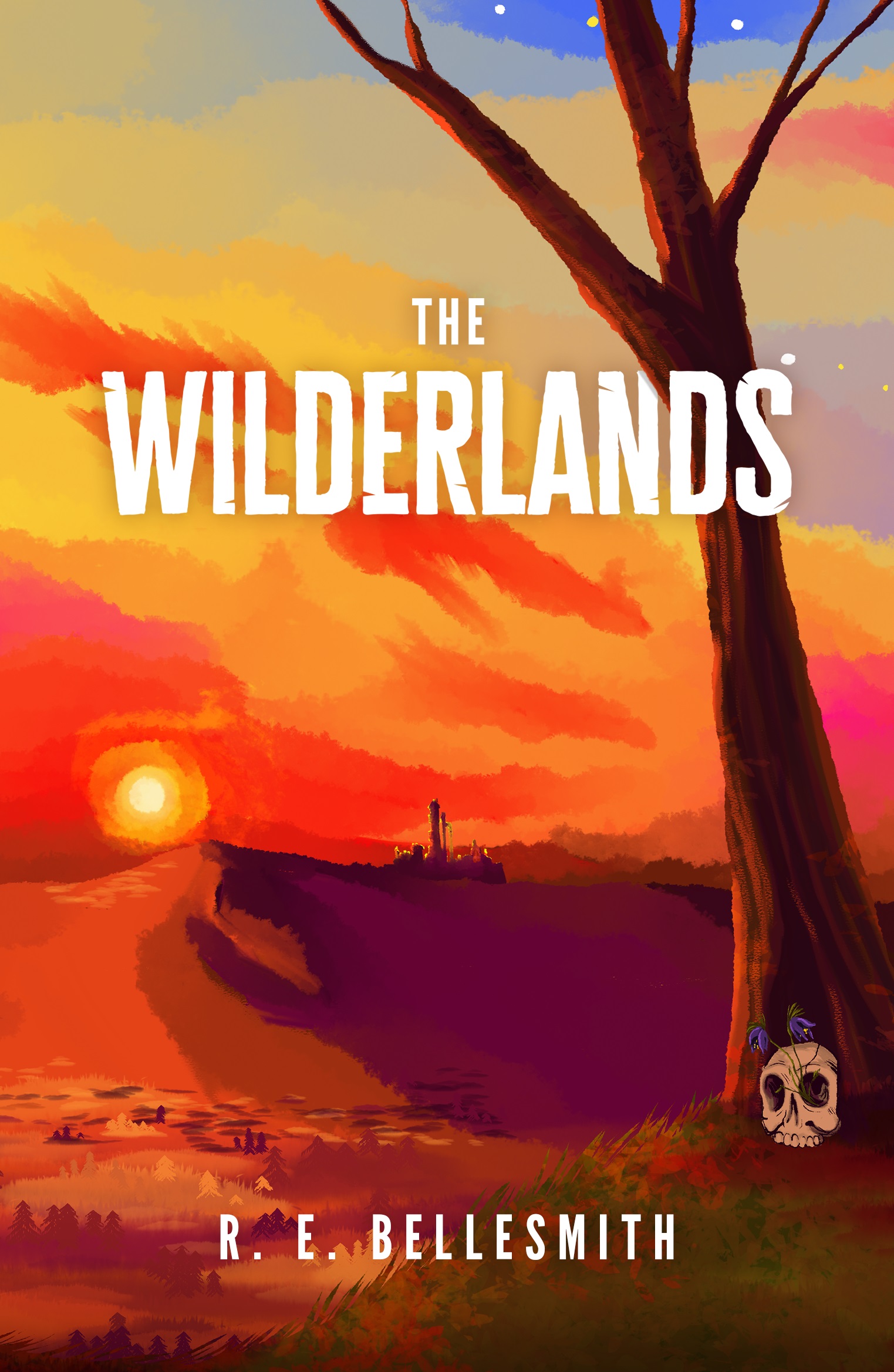The Wilderlands (Kindle Edition)