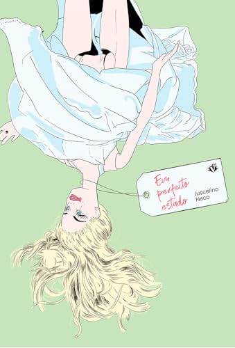 Em perfeito estado (Paperback)