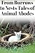 Animal Homes: Stories of Sh...