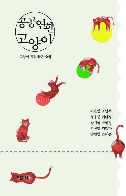 공공연한 고양이 (ebook)