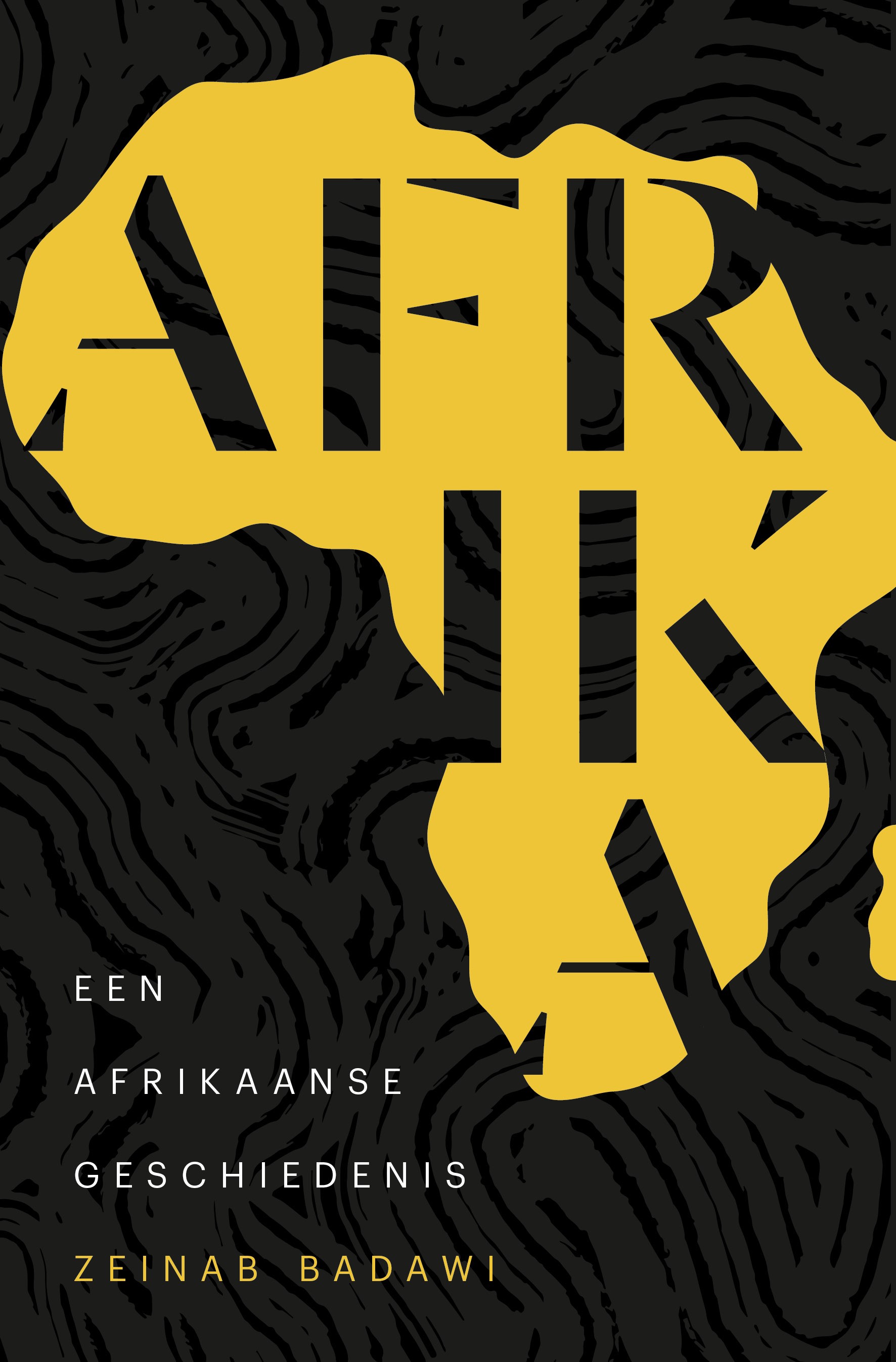 Afrika: Een Afrikaanse geschiedenis