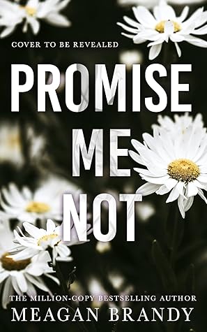 Promise Me Not (Boys of Avix #2)