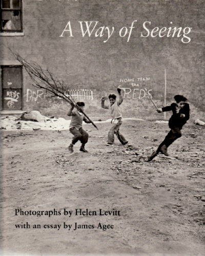 A Way of Seeing (Paperback)