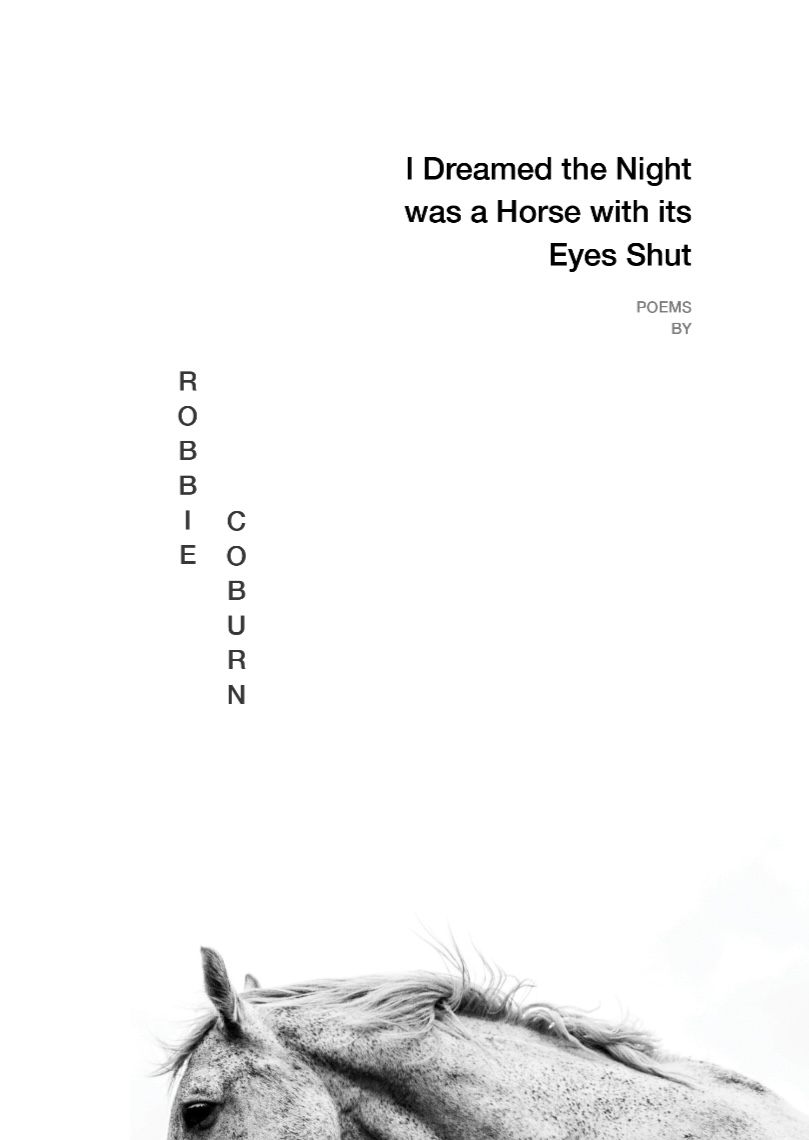 I Dreamed the Night was a Horse with its Eyes Shut (B/W Photocopy )
