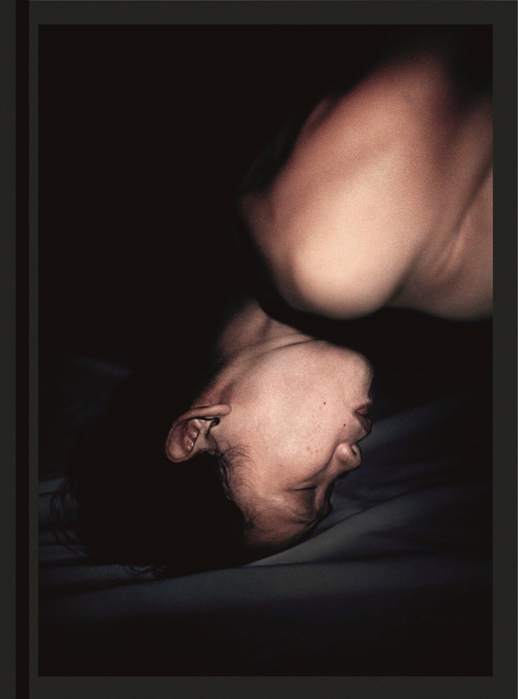 Antibodies (Hardcover)