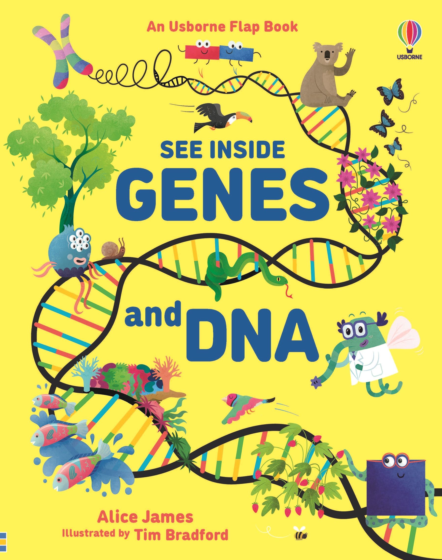 See Inside Genes and DNA (Usborne Flap Book)