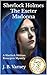 Sherlock Holmes The Exeter Madonna by J. B. Varney