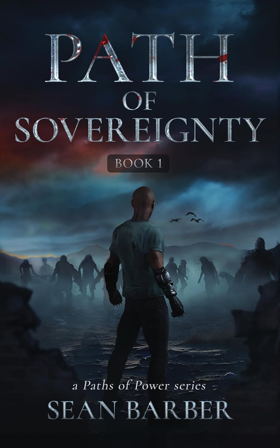 Path of Sovereignty: Book 1 (Kindle Edition)