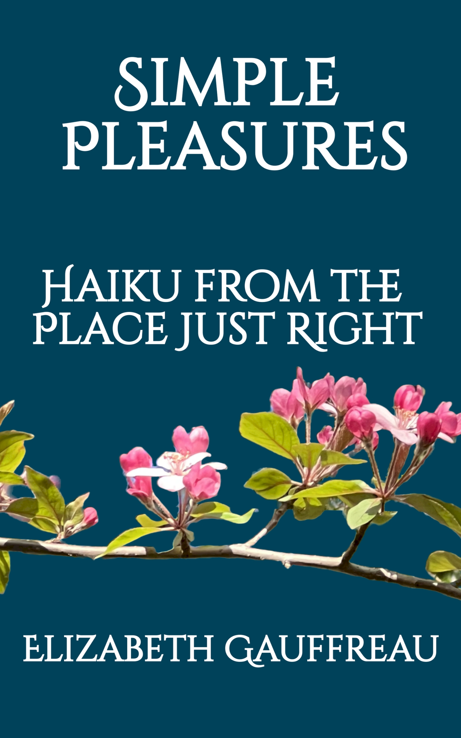Simple Pleasures: Haiku from the Place Just Right