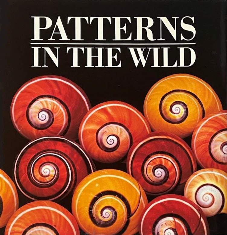 Patterns in the Wild (Hardcover)