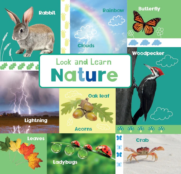 Look and Learn: Nature (Board Book)