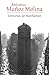 Ventanas de Manhattan / Windows of Manhattan (Spanish Edition)